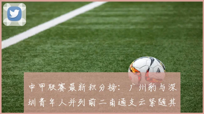 中甲联赛最新积分榜：广州豹与深圳青年人并列前二南通支云紧随其后